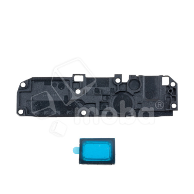 BUZ-TCN-SPR-GO-2023-CP_1