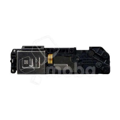 BUZ-XMI-RMINT-13-PR-PLS-CP_1