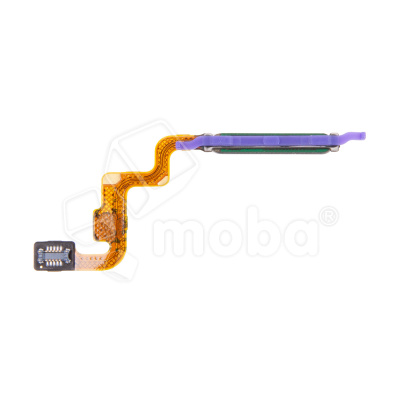 FPC-XMI-RMINT-12-4G-FP-B_1