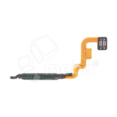 FPC-XMI-RMINT-12S-FP-LHT-BLU_1