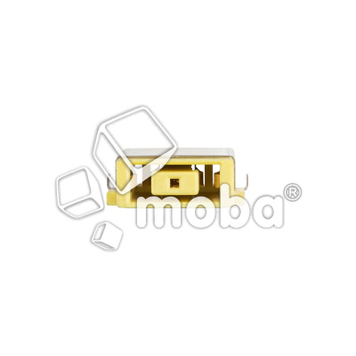 CC-PW-LP-LNV-YG-2-11
